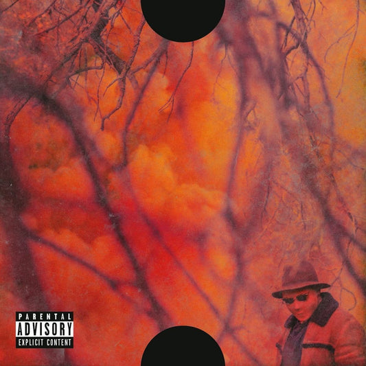 SCHOOLBOY Q - BLANK FACE (2X LP)