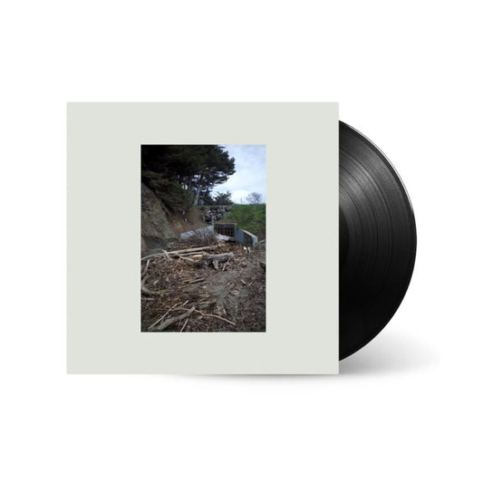 MAC DEMARCO - FIVE EASY HOT DOGS